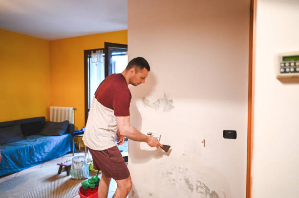Best Professional Mold Removal  in Buckhall, VA